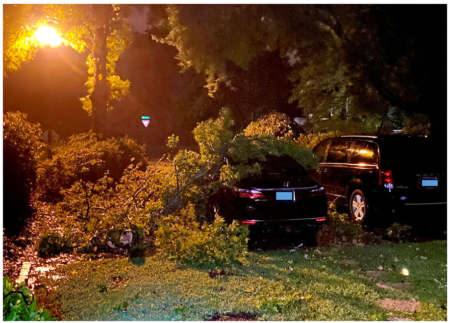 Dealing with uncertainty in life and health Sometimes trees fall on